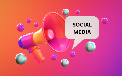 Blog Post 1